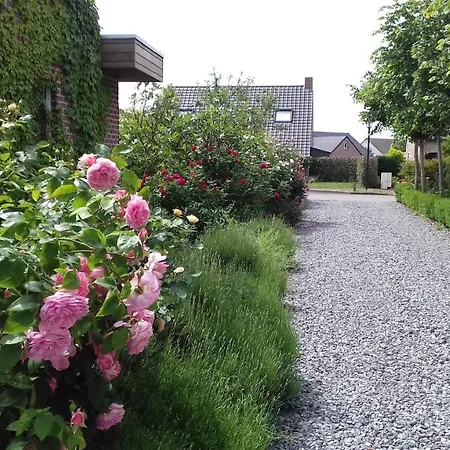 Bed & Breakfast Dans Maison Privee Awoingt